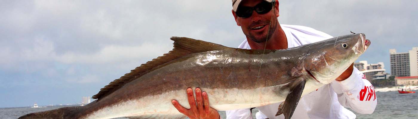 Guided Fishing Charter by The Ships Chandler